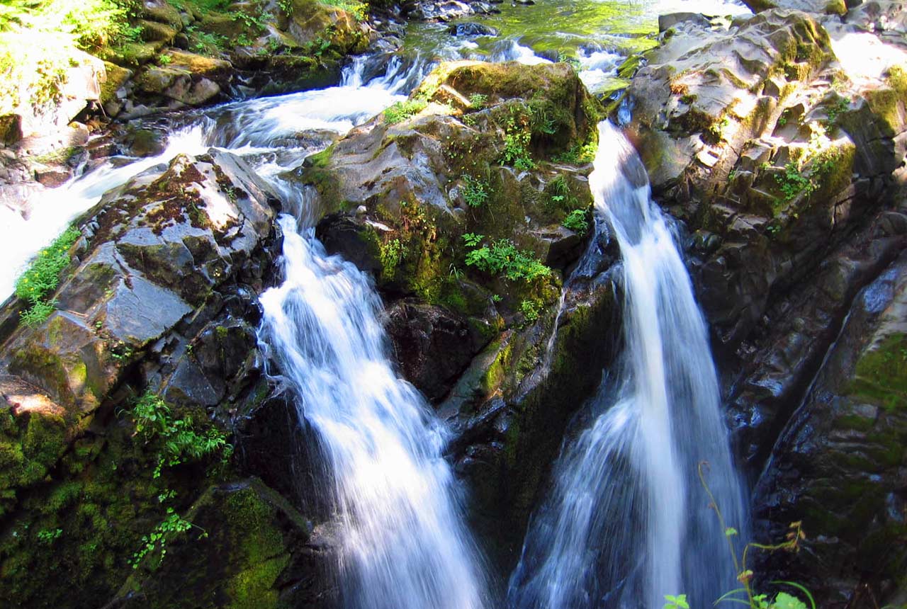 Visit Sol Duc Hot Springs near Kalaloch Lodge